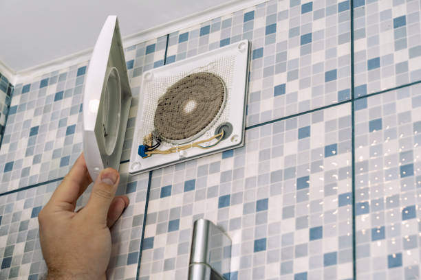 Best Air Vent Cleaning Services  in Fair Grove, MO